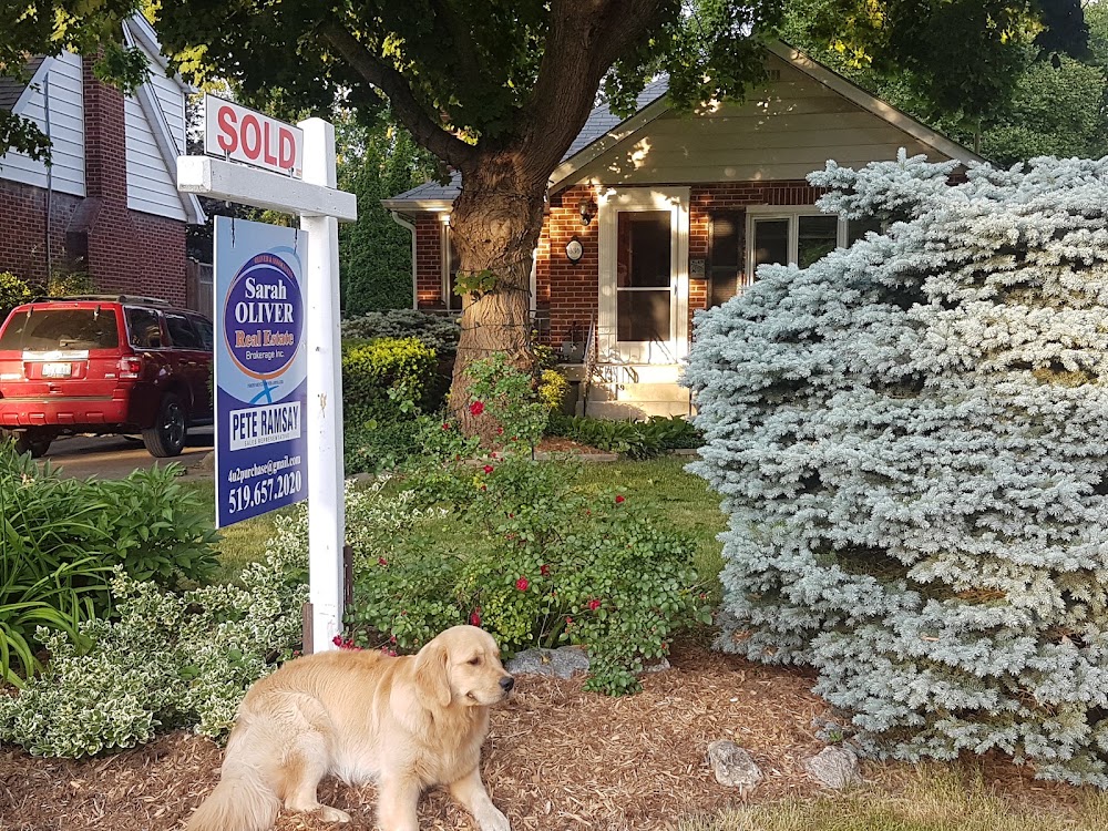 Pete Ramsay | Realtor London Ontario