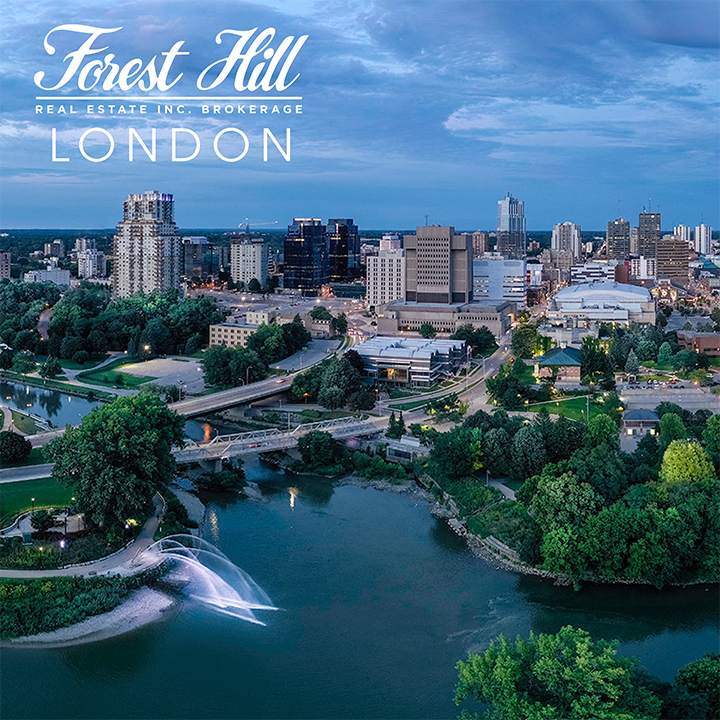 Forest Hill Real Estate Inc., London